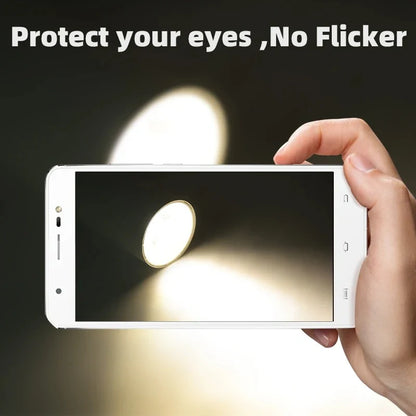 Ray Modular 360° Spotlight Lights