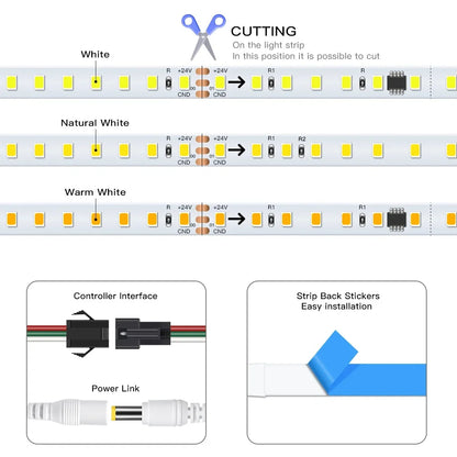 Zynella Wall 10 meter LED Strip Light