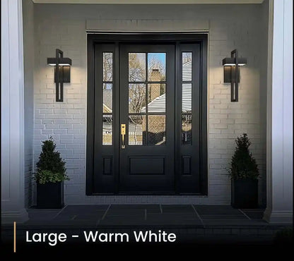 Zynella Titan: Modern Stainless Steel Outdoor Sconce (IP65 Waterproof)