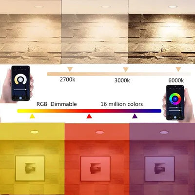 Zynella LED Downlight