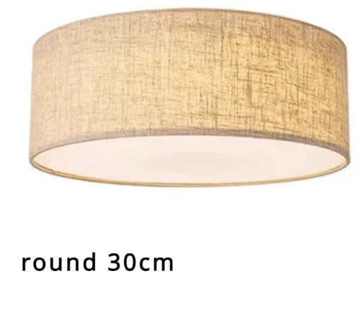 Nordic LED Ceiling Lamp