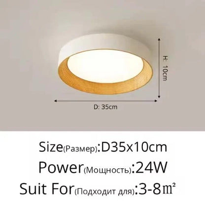 Minimal Luxe Ceiling Light