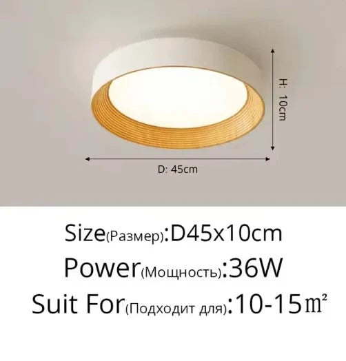 Minimal Luxe Ceiling Light