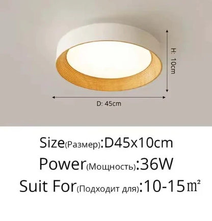 Minimal Luxe Ceiling Light