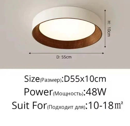 Minimal Luxe Ceiling Light