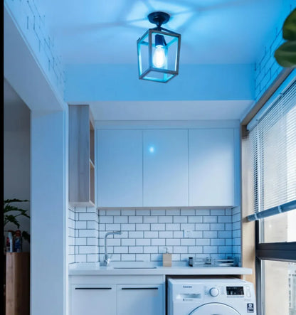 Evren Ceiling Lights