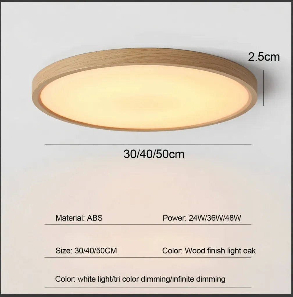 The Elmora Ceiling Lamp
